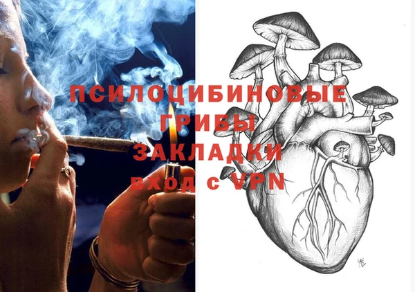 шишки Балабаново