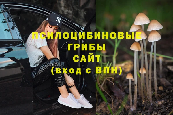 амф Баксан