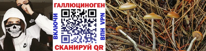Псилоцибиновые грибы мухоморы  Кондрово 